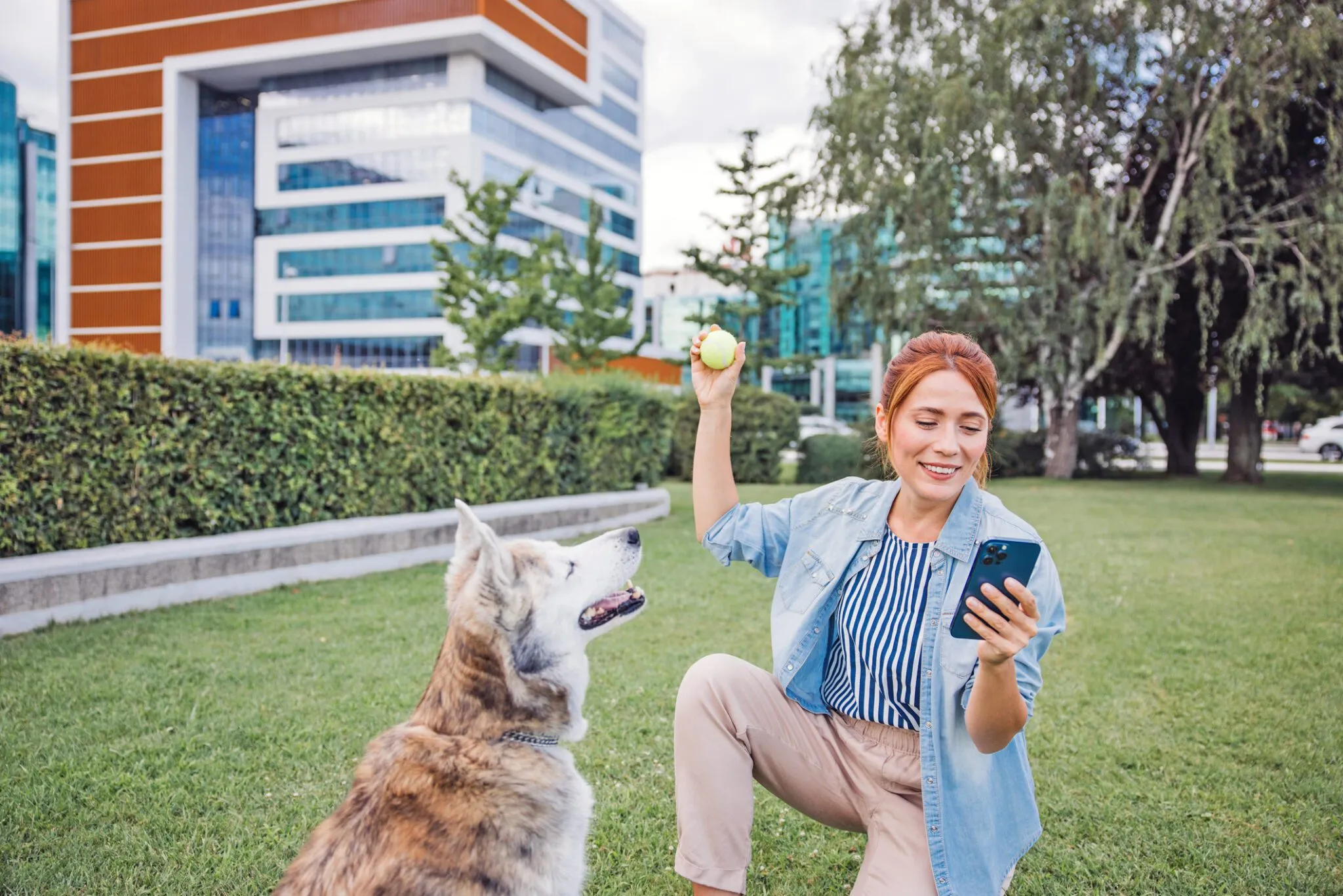 Best Choices in Free Dog Training Apps