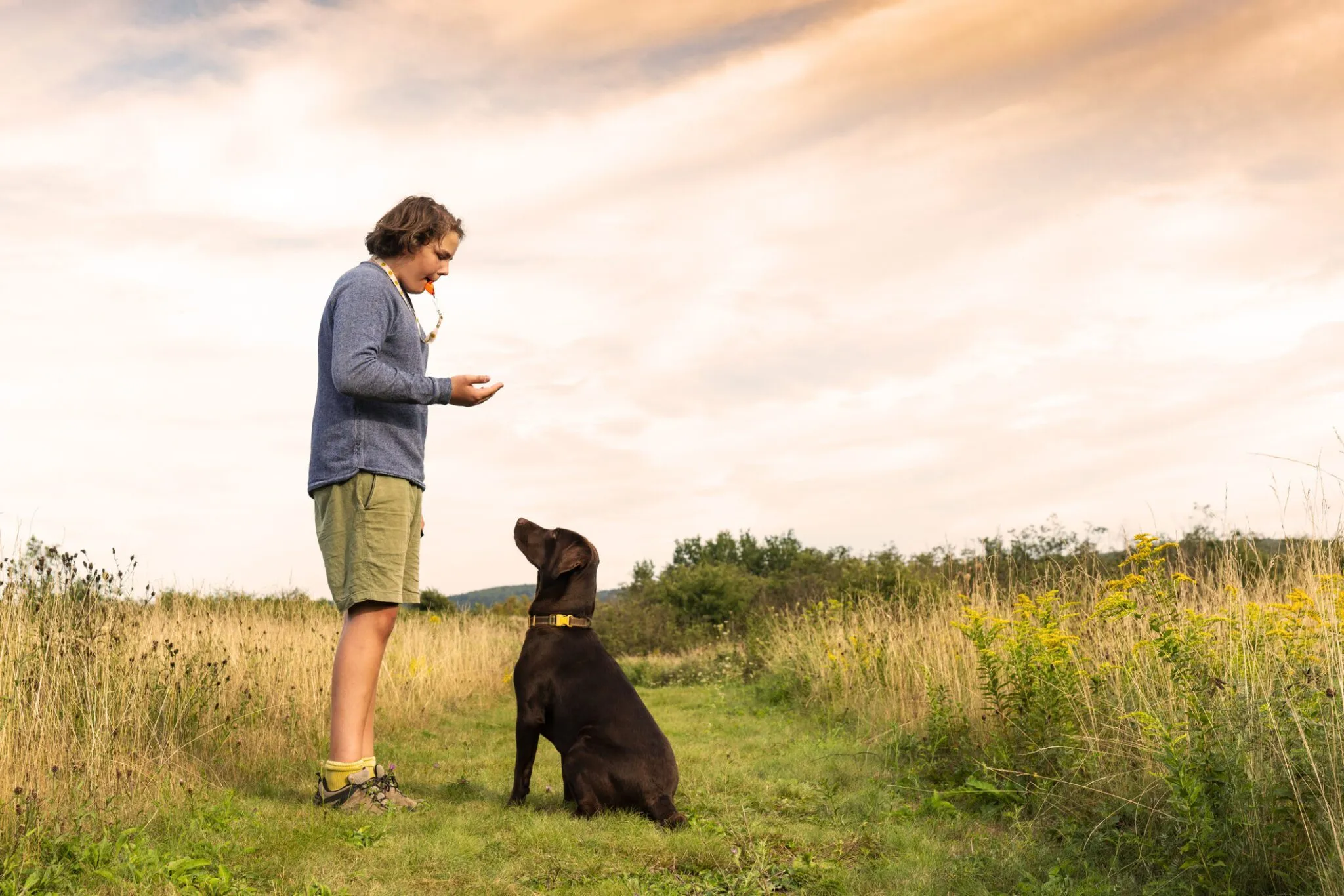 How to Train Your Dog to a Dog Whistle