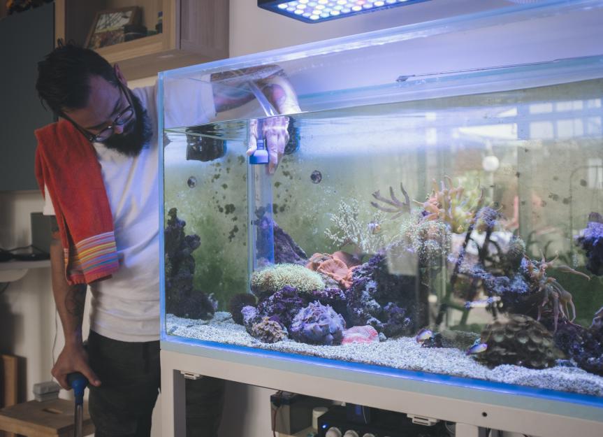 Using “Good” Bacteria in Your Aquarium