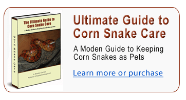Tips for Corn Snake Feeding